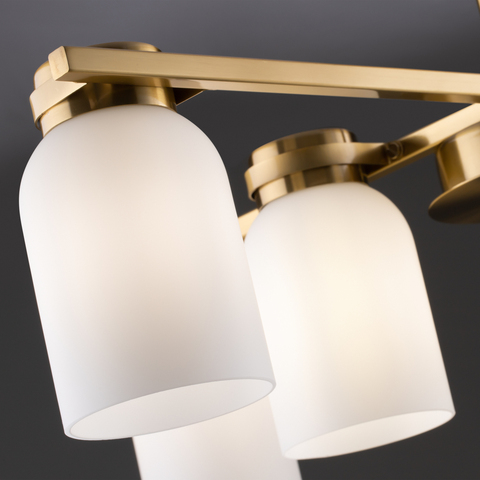 Потолочная люстра Freya Kamelia FR5446PL-06BS