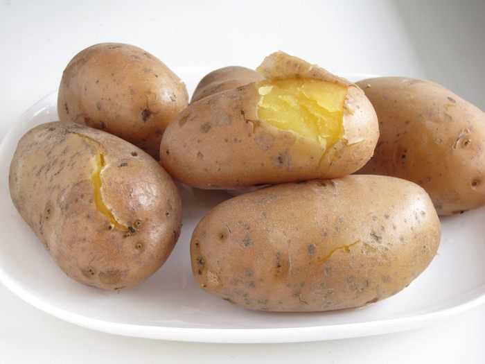 картофель