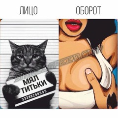 Ароматизатор в авто 