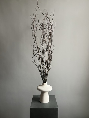 Ветки шиповника