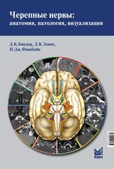 Черепные нервы: анатомия, патология, визуализация