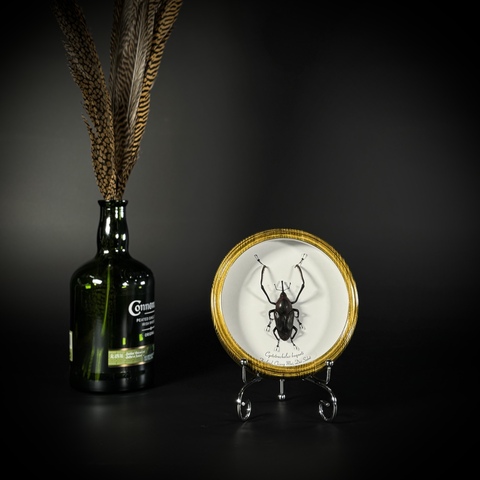 Композиция в рамке на подставке