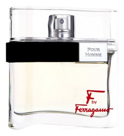 Salvatore Ferragamo F by Ferragamo Pour Homme