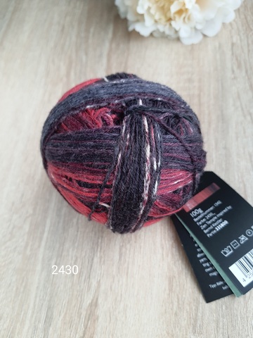 Schoppel Wunderklecks 2430