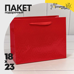 
          Пакет подарочный 23х18х10см Премиум "Элегант" (Красный)