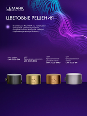Смеситель для ванны Lemark LMF-2122S-BRG 