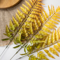 Папоротник осенний оранжевый, зелень искусственная, 60 см, набор 5 веток.
