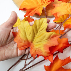 №2 Кленовые листья на ветке Желто-оранжево-зеленые, осенние, 70 см., набор 2 ветки