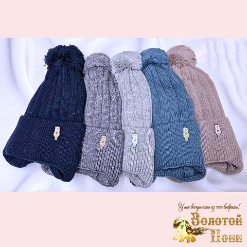 Шапка на хлопке м (4-6) 251019-Ш4093