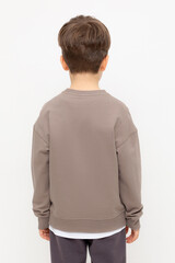 джемпер  для мальчика  КР 302392/коричневый