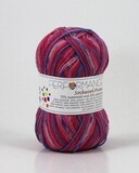 Пряжа Performance Sockwool Prime Multi 17520