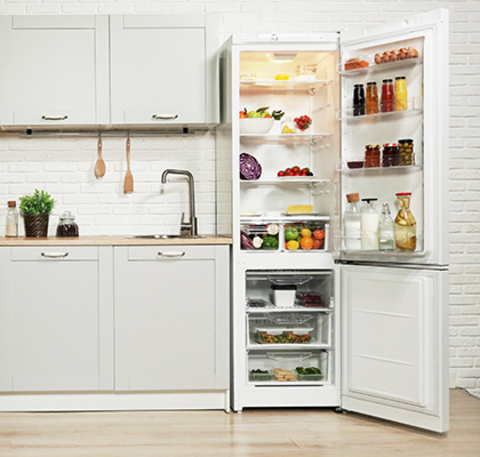 Холодильник Indesit DSN 20 – 9