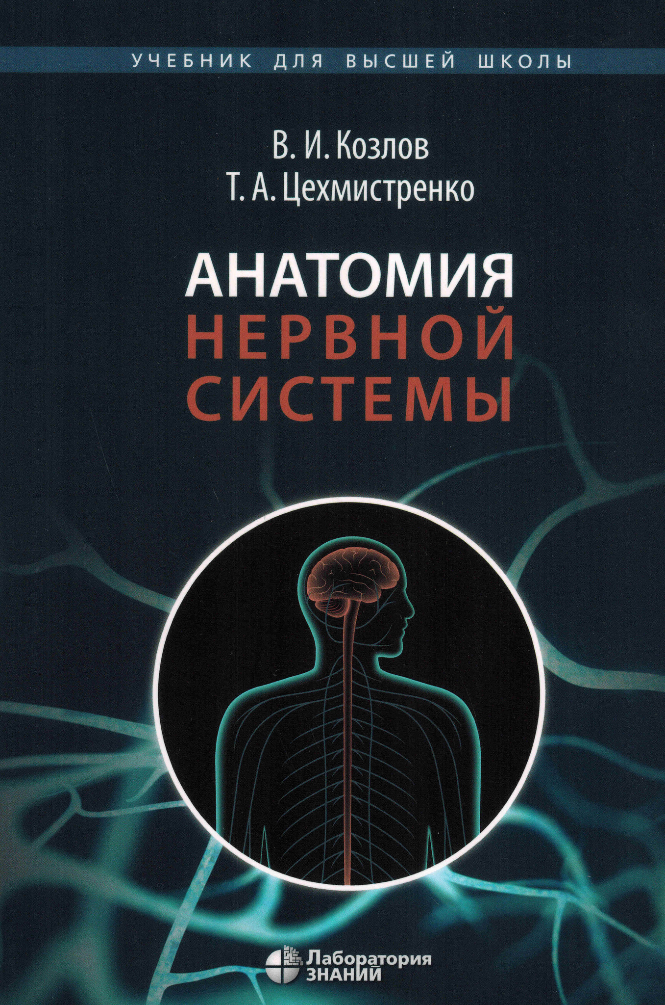 Анатомия лица человека: мышцы, кровеносная и нервная системы (плакат)