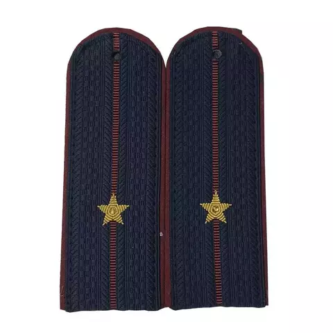 Погоны ФСИН вышитые мл.лейтенант