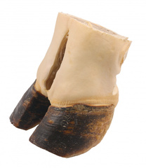 Titbit лакомство для собак путовый сустав говяжий 530 гр