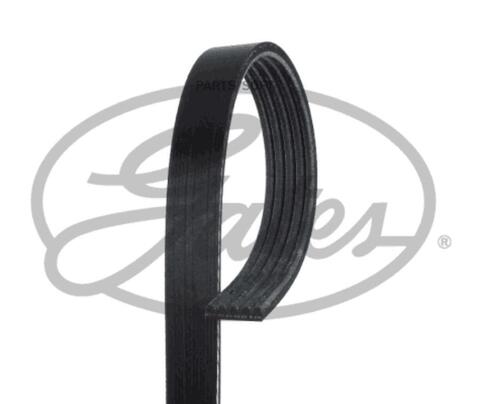 Ремень ручейковый GATES   5 PK  716SF