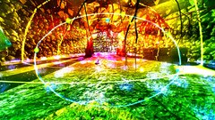 Clinically Dead (для ПК, цифровой код доступа)