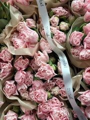 Охапка тюльпаны пионовидные - нежно-розовый цвет 25 шт