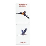 Набор обучающих книг 