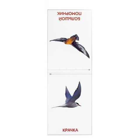 Набор обучающих книг 