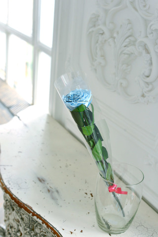 Стабилизированная роза на стебле премиум вип голубая