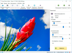 SoftOrbits Easy Photo Unblur (Удаление смазанности на фотографиях) [Цифровая версия] (для ПК, цифровой код доступа)