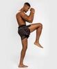 Шорты Venum MMA Tecmo 2.0 Black