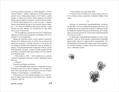 Шепот в тишине. Коллекция мистических историй
