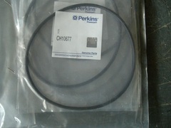 Кольцо гильзы уплотнительное / SEAL - OIL АРТ: CH10677