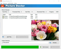 SoftOrbits Picture Doctor (Доктор изображений для JPEG и PSD) [Цифровая версия] (для ПК, цифровой код доступа)