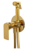 REMER I65DO Гигиенический душ со смесителем скрытого монтажа (душевой шланг и скрытая часть в комплекте) infinity