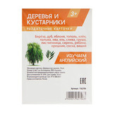 Обучающие карточки 
