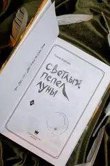 Светлый пепел луны. Книга 2