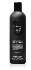 Деликатный балансирующий шампунь против перхоти REBALANCING LOW SHAMPOO, 250 мл