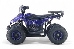 Детский электрический квадроцикл RiverToys LEON 1200W