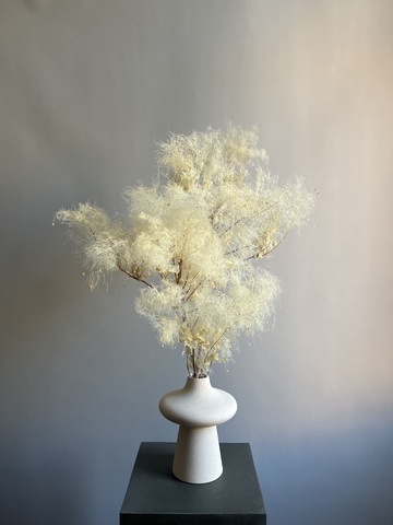 Котинус стабилизированный выбеленный