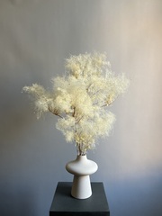 Котинус стабилизированный выбеленный