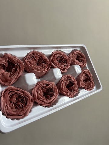 Роза пиновидная бургунди d=4-5 см (упак 8 шт)