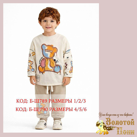 Костюм мальчику (1-3/4-6) 260201-TR1176