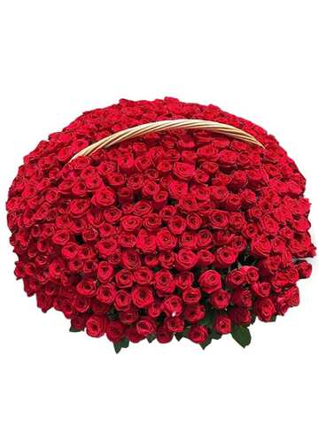 Рио (тестовый товар) Nike 50см