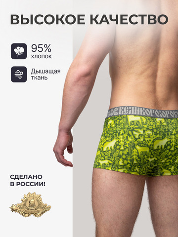 Мужские трусы боксеры «Весенний лес»