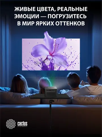 Проектор Cactus CS-M1.SG DLP 9600Lm LS 600Lm ANSI (1920x1080) 200000:1 ресурс лампы:20000часов 1xUSB typeA 1xHDMI 1.9кг