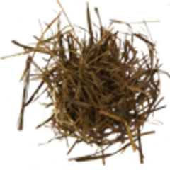 Зубровка (трава, 50гр.)  (Старослав)