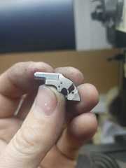Miniature Colt Southerner