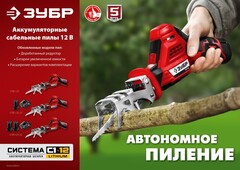 ЗУБР С1-12, 12 В, 80 мм, 1 АКБ (2 А·ч), сабельная пила (СПЛ-125-21)