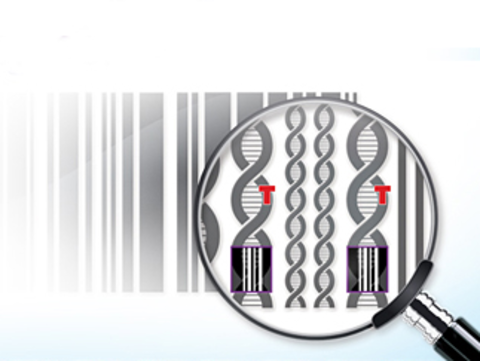 HaloPlex High Sensitivity TArget Enrichment System