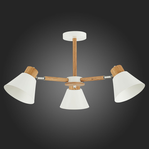 Светильник потолочный Evoluce Buve SLE103702-03