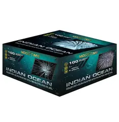 INDIAN OCEAN