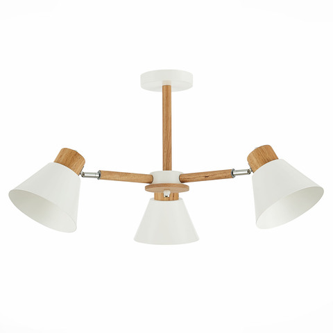 Светильник потолочный Evoluce Buve SLE103702-03