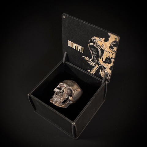 Череп из бронзы